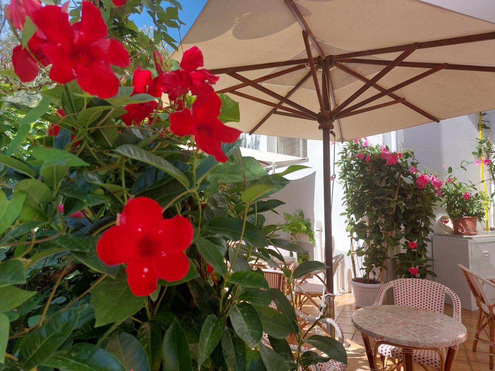 Hotel Driade Sul Mare Rimini Exterior photo